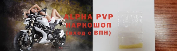 стафф Алексин