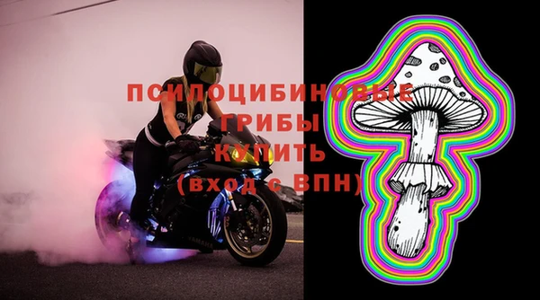 стафф Алексин